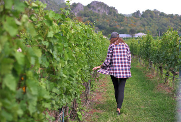 young woman walk alone in the vineyard