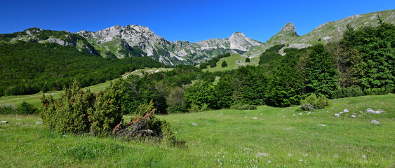 Durmitor-Nationalpark, Montenegro