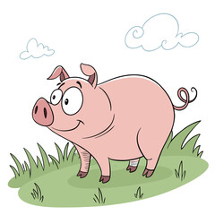 pig