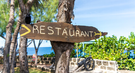 Rustic Restaurant Sign with Blackbird in Tropical Setting