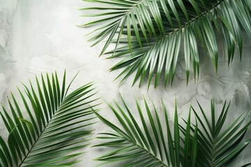 Obraz premium High quality top view image of tropical palm leaves