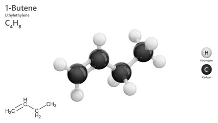 Molecule: 1-Butene. Alkene. Gas. Molecular structure. Formula: C4H8. Chemical model: Ball and stick. White background. 3D illustration.