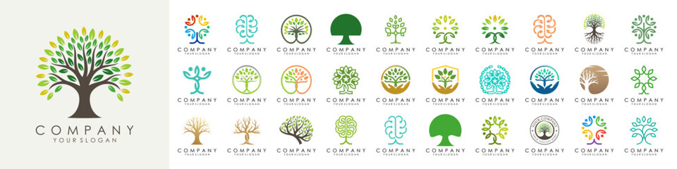 Naklejka premium set of creative tree logo design. Green Garden Vector Logo Template. vector illustration