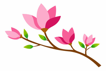 Colorful magnolia branch on white background 