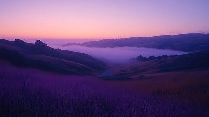 Misty Sunrise Valley Purple Fields, Rolling Hills, Scenic Road