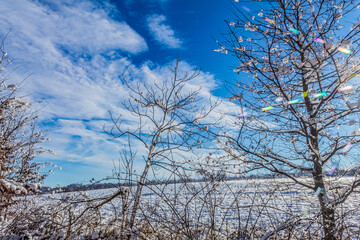 Landscapes - Forest - Europe, Romania, Suceava region