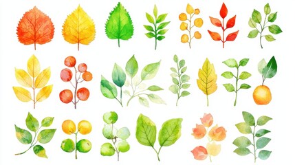 Colorful watercolor leaves and foliage collection depicting seasonal changes in nature