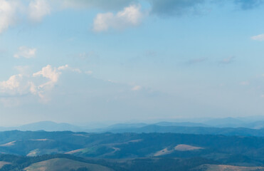  Summer Vista with Majestic Beech Tree and Misty Mountains