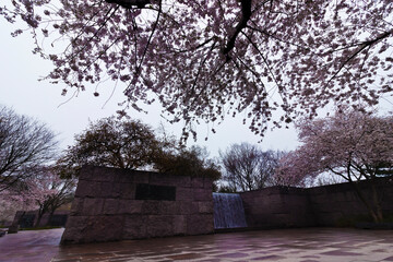 Beautiful spring scene from the first open-air room of the Franklin D. Roosevelt Memorial, National Mall, Washington DC
