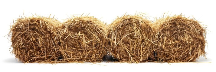 Grass Hay. Isolated Bale of Hay on White Background for Agriculture and Animal Feed