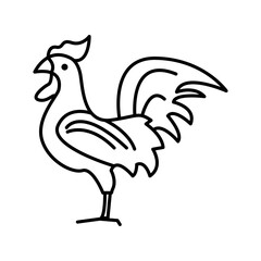 rooster isolated on white background