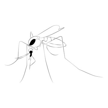 recommend clip art: Mosquito line art vector design. Mosquito outline illustration design.