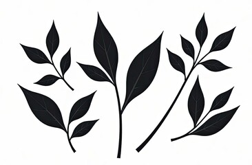 Black silhouette of leafy branches with flat shapes and shadows on a white background. Simple monochrome botanical illustration. Minimalist design with elegance.
