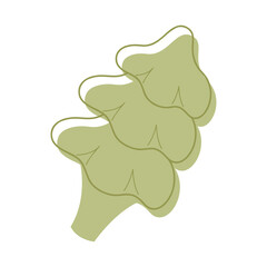 A conifer color. Clip art for your projects.