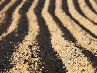 The furrows of the plowed field at the edge of the forest. Free soil for planting crops. Agricultural business. Technology v raschivaniya food. Seasonal field work. Farmland. The quality of the soil