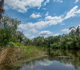 Beautiful view of the Black River