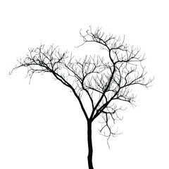 Minimalistic silhouette of a leafless tree with intricate branches vector. Perfect for nature-inspired designs, graphic art, decorative prints., environmental projects, book covers, posters.