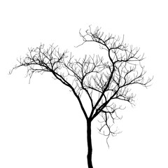 Silhouette of a bare tree with intricate, branching patterns on a white background, ideal for environmental themes, design projects, educational materials, and artistic creations.