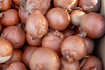 Abundant brown onions are stacked together, showcasing various sizes and skins. This organic collection highlights their earthy tones and freshness, perfect for culinary creations.