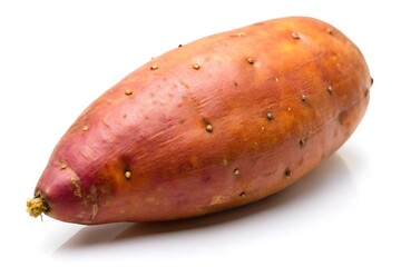 Lunar New Year Graphic Elements PNG | Festive Transparent Background Designs