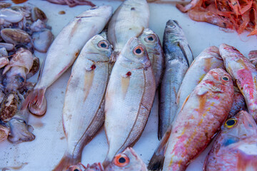 Fresh fish on the fishing port of Essaouira in Morocco