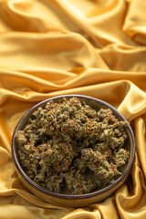 in a white young female hand a dry bud of medical marijuana. On a festive golden background
