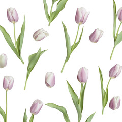 Obraz premium Seamless floral pattern with pink and white tulips isolated on white background spring flowers banner floral design elements for valentines day mothers day womens day wedding invitation cards posters