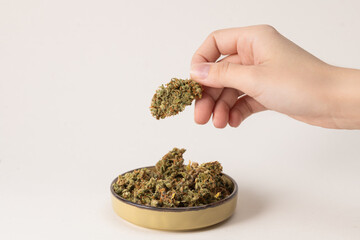 young white female hand holding dry buds of medical marijuana, next to it in a bowl there are more cannabis flowers. On a light background