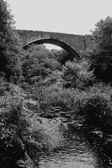 Durham England: 6th Sept 2024: The Causey Arch. A large stone arch bridge stands over a dense thicket of trees and bushes