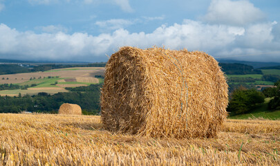 Fototapeta premium Straw bale on the field, cultivated barley, harvest in the summer, agriculture for food, farmland on the countryside
