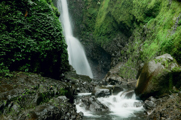 A powerful waterfall cascades down a moss-covered cliff, crashing into a rocky stream below. Lush greenery surrounds the scene, creating a breathtaking natural spectacle.