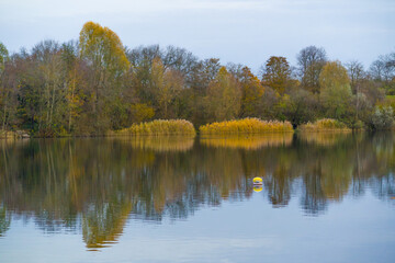 Fototapeta premium Autumn trees and reeds by lake symmetrical reflected in water