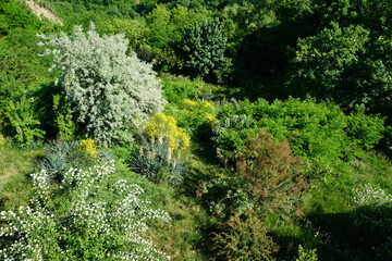 Obraz premium Georgia, Caucaus 