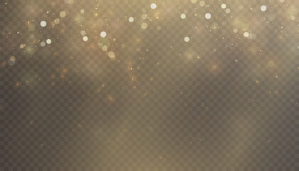 Golden bright dust of light bokeh and glitter. Festive glowing bokeh and sparkles overlay texture for your design on transparent background. Golden particles abstract vector background.	