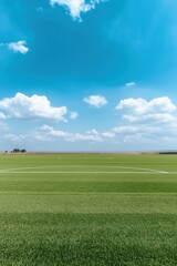 A field of green grass with a blue sky in the background. The sky is clear and the sun is shining brightly