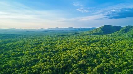 Obraz premium Aerial view of a vibrant green forest ecosystem, highlighting lush greenery beneath a clear blue sky, perfect for capturing the beauty of nature with ample copy space.