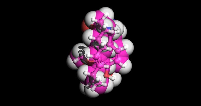 Capsaicin, Vanilloid, chili pepper hot flavor, nutraceutical, 3D molecule spinning 4K