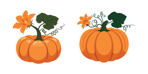 Halloween pumpkin smile ghost vector design illustration