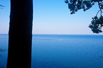 Osuwająca się skarpa, klif w Gdyni, widok na morze i pływające statki, Gdynia, Polska. Cliff in Gdynia, Poland  © 123108 Aneta