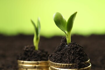 Stacks of coins with green plants on soil against blurred background, closeup. Money growth concept