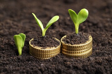 Stacks of coins with green plants on soil, closeup. Money growth concept