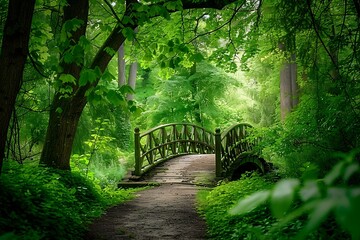 Obraz premium Wooden bridge over a river in the park in the summer.