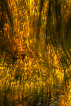 Abstract reflection in the vibrant waters of Riotinto River