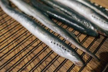 European river lamprey prepared for grill. Latvian national food