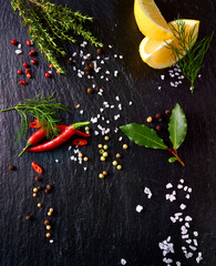 Schieferplatte mit Chili, Zitrone, Salz und Lorbeer, Topshoot,