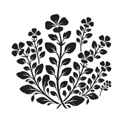 Watercress Silhouette Vector Illustration, Solid White Background.