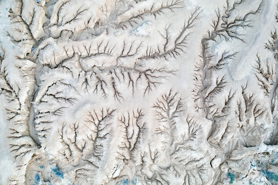 Aerial view of intricate desert riverbed patterns resembling tree branches