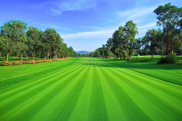 Pristine golf course fairway on a sunny day with lush greenery and blue sky
