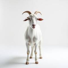 Obraz premium Sleek White Goat With Delicate Horns Standing Peacefully in a Bright Setting