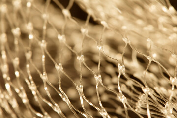 Small Netting Abstract Lattice Weave Mesh Background Plastic Packaging Close up